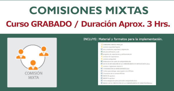 Constitución de Comisiones Mixtas. Obligatorias y opcionales.
